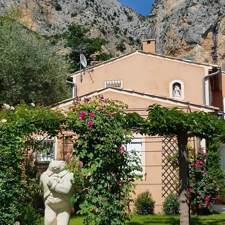 Bed & Breakfast Bastide Des Oliviers