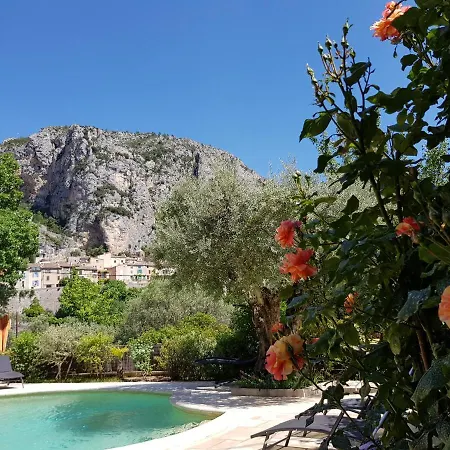 Bastide Des Oliviers Bed & Breakfast